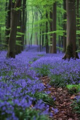 Wild bluebells carpeting a forest floor, creating a magical woodland scene