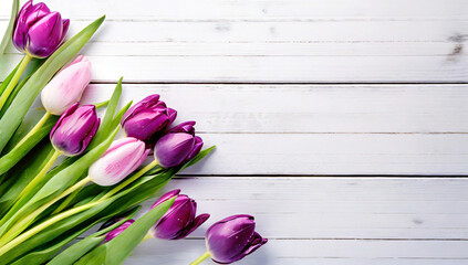Fioletowe tulipany, piękne wiosenne kwiaty. Martwa natura. Puste miejsce