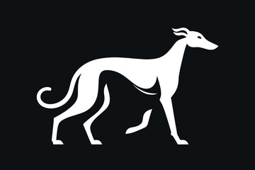 Greyhound dog. Simple vector illustration. White on black. modern icon, logo, emblem