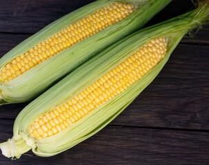 Close up view of raw corn cobs on wooden surface