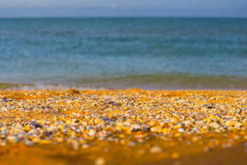 closeup sandy sea beach marine scene