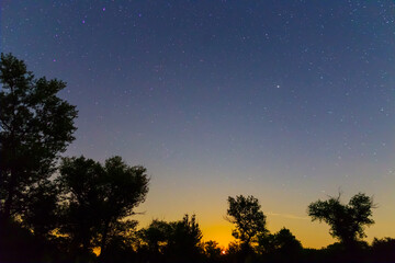 Fototapeta na wymiar night sttarry sky above the forest silhouette