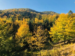 autumn in the mountains