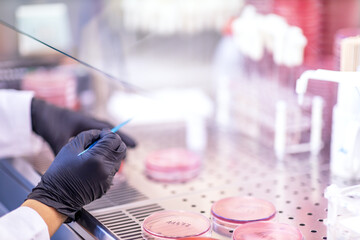 Scientist working with biochemical samples in science chemical laboratory for medicine. Authentic...