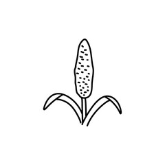 Hand drawn cereal icon