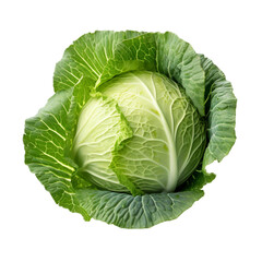 cabbage isolated on a white background with clipping path. 3d rendering