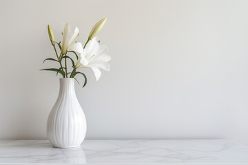 Ceramic vase with a flower on white background cabinet