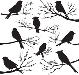 Set of Birds on branches silhouette on white background