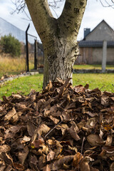 A composter made of wooden boards filled with bio-waste from the kitchen.