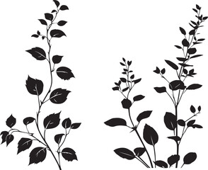 black and white silhouettes of plants on white background
