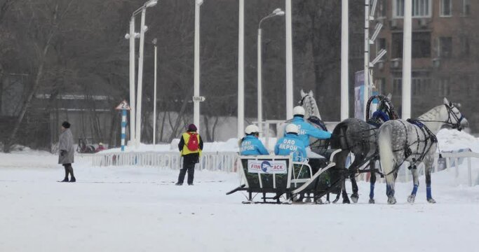  Triple during snowfall at 18 Russian championship of Russian triples on Moscow hippodrome, 4K