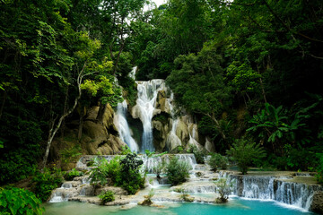 Majestic Kuang Si Waterfall Cascading in Lush Laotian  Jungle - Laos Travel Tourism Background
