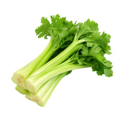 celery isolated on a white background with clipping path. 