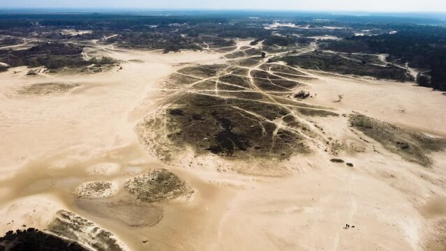 The Loonse and Drunense Duinen National Park, Yellow Sand and Trees