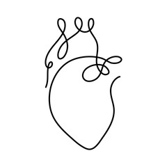 One line human organ