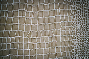 Brown pattern as a background. Snake skin concept. 