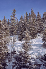 Image from the Totenaasen Hills in winter, from a walk from Oksbakken to Langsetra and Anfinnsetra summer farms, and back again through Smordalen and Hemningsdalen valleys.