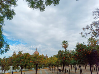 autumn in the park