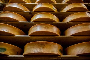 Meules de fromage Beaufort dans la cave de la coopérative - 730377653
