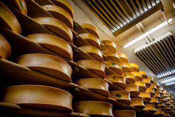 Meules de fromage Beaufort dans la cave de la coopérative - 730377698