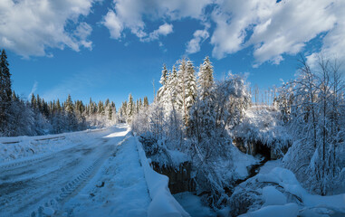 Secondary countryside alpine road to remote mountain hamlet through snowy fir forest, snow drifts...