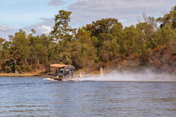 An Airboat Gliding Among Cypress Trees in the Atchafalaya Swamp, Louisiana