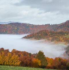 Morning foggy clouds in autumn mountain countryside.  Ukraine, Carpathian Mountains, Transcarpathia.