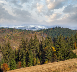 Late autumn mountain morning scene with snow covered tops in far and foggy clouds in valleys. Picturesque traveling, seasonal, nature and countryside beauty concept scene. Carpathians, Ukraine.