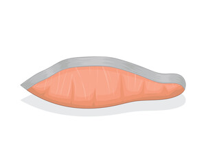 vector design of fish meat that has been cut into pink pieces