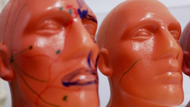 Row of orange plastic heads with cosmetology marking