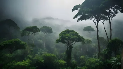 Foto op Plexiglas Symbolbild Dschungel im Amazonas © pit24