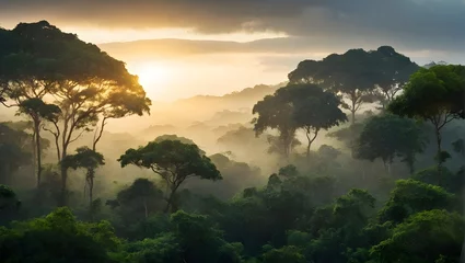 Foto op Aluminium Symbolbild Dschungel im Amazonas © pit24