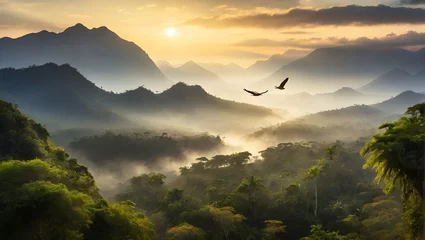 Gordijnen Dschungel im Amazonas © pit24