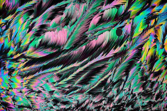 Vibrant abstract texture with feather-like patterns