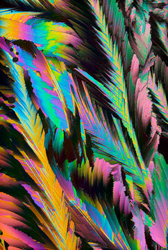 Vibrant Abstract Feather Texture in Vivid Colors