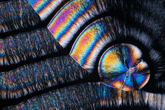 Colorful patterns of light on a butterfly wing