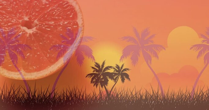 Composition of halved grapefruit over palm trees and sunset landscape background