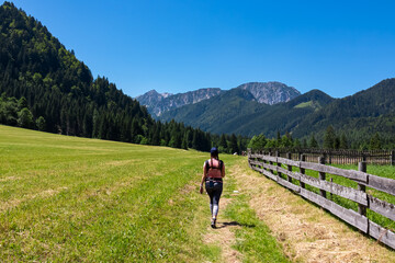 Hiker woman walking along lush green alpine meadow with scenic view of Karawanks mountains,...
