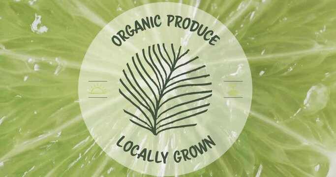 Composition of organic produce text over halved lime on green background