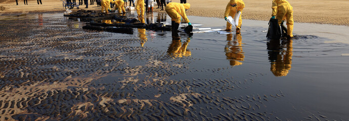 Professional team and volunteer wearing PPE clean up dirty of oil spill on the beach,  oil slick...