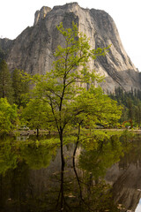 Yosemite National Park - Seth Anderson Photography
