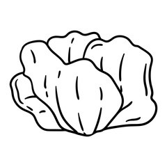 Illustration of poppy flower. Beautiful decorative plant.