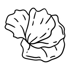 Illustration of poppy flower. Beautiful decorative plant.