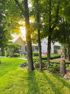 Sun shining through trees in a backyard of an estate house 