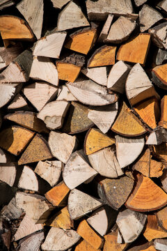 Pile of chopped Alder and Ash firewood in the sun