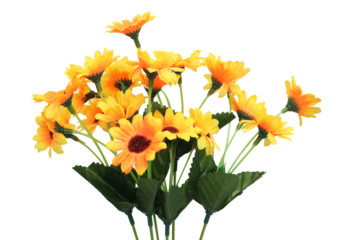 bouquet of yellow and orange flowers on transparent background