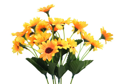 bouquet of yellow and orange flowers on transparent background