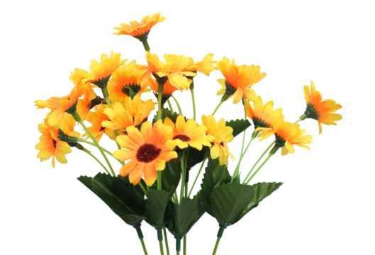 bouquet of yellow and orange flowers on transparent background