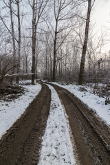 A road in nature with trees in a forest. It was winter with snow