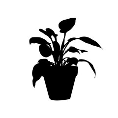 Potted plant silhouette, Sansewieria silhouette - vector illustration